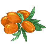  СК-СО-2 Экстракт Облепихи