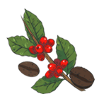 Зелёный кофе