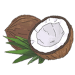 Кокосовое масло