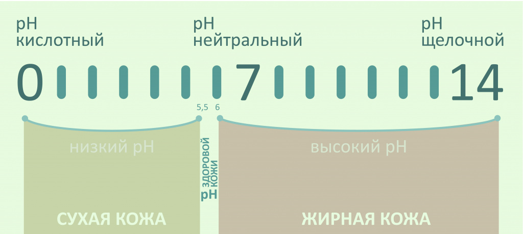 пшная шкала-01-01.jpg