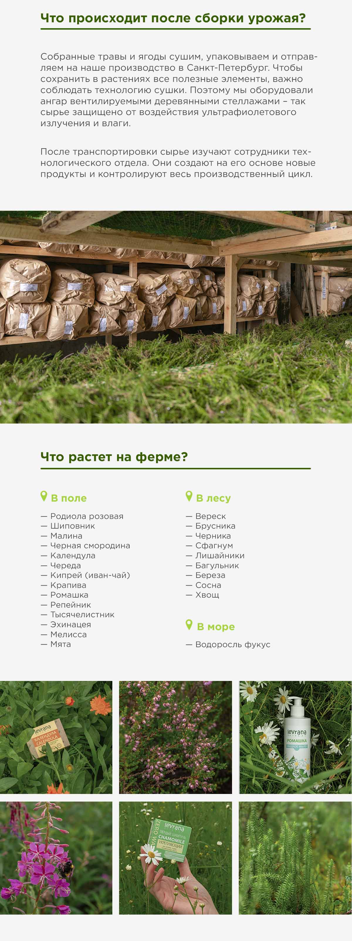 farm-3-min.jpg